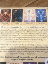 Seeker Oracle Ravynne Phelan