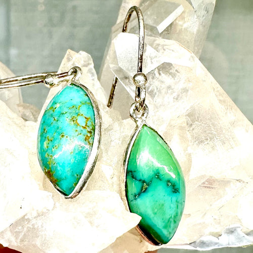 Charming Turquoise Earrings no