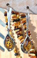 Unique Amber Earrings