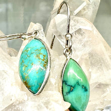 Charming Turquoise Earrings no