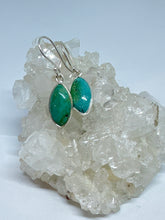 Turquoise Bluey Earrings