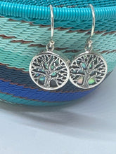 Paua Shell Tree If Life earrings