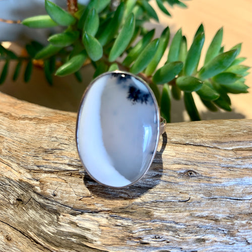 Denrite Agate Ring Size 11